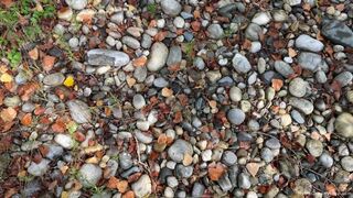 Outdoor Pussy & Ass For Luna - Luna Green & Markus Green