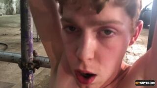 Two Twink Newbies Barebacked! Part 2 - Alex Faux, Avery Monroe, Sean Taylor, Sebastian Kane