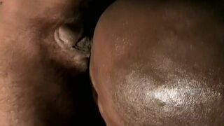 Black Bear's Hairy Ass Fucked Hard - Krupt & Tankk