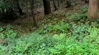 Bear Spit Roasted Outdoors - Jay Benjamin, Patrick Ives & Tony Genero