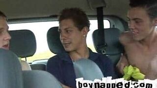 A.J. Chambers, Bailey (BN), Max (BN)