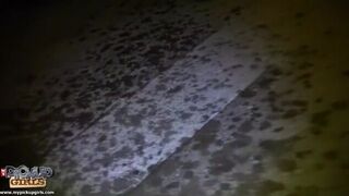 Anal public fuck and squirting