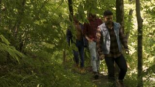 The Territory - Raging Stallion