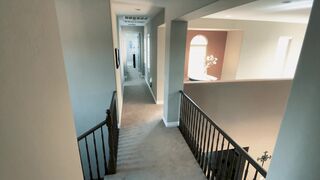 Bro Buddies - Falcon Studios