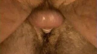Ass Plowed Daddy Bear