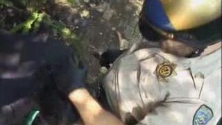 Gay Bears Outdoor Blowjob