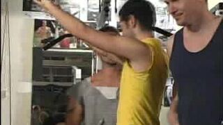 Muscle Bound Bear Hook Up