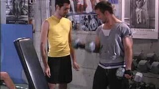 Muscle Bound Bear Hook Up