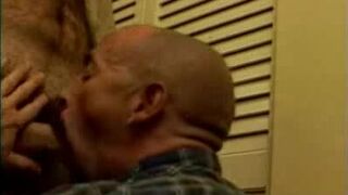 Tough Daddy Bears Blowjob