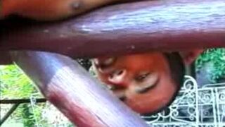 Gay Latinos Having Anal Outdoors