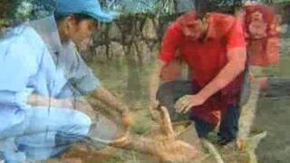 Teen Gays Outdoor Hook Up