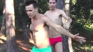 Wellington Gay Cruising