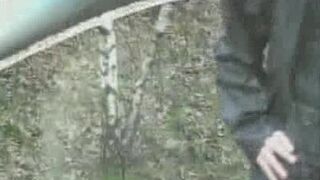 Hot Gays Outdoor Cock Sucking