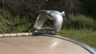 Horny plantation owners fuck two delicious kinky babes