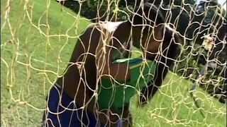 Lusty latina slurps on huge black cock