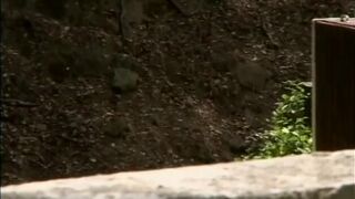 Brunette and blonde on their knees and ready to suck big cock together