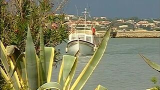 Passionate hunks banging and dick sucking