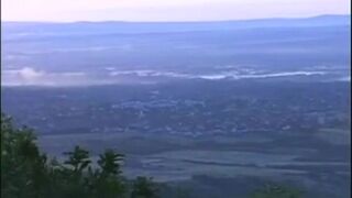 Fun times in the forest