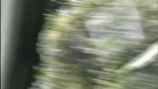 Fun times in the forest