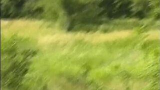 Fun times in the forest