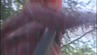 Beauty blonde squirts after a great anal fuck